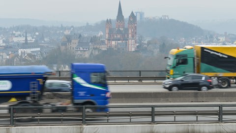 Reh am Straßenrand