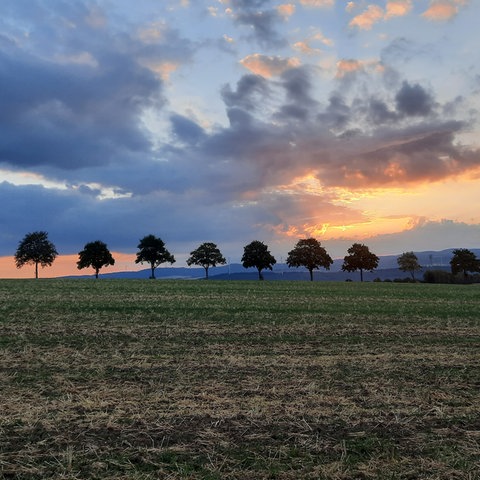 De Sonnenaufgang in Hünstetten hoed hessenschau.de-Nutzer Peter Enkelmann met signaalcamera fest-niveaus.