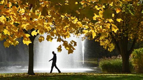 Goldener Herbst in Hessen: Hier im Kurpark Bad Hersfeld. 