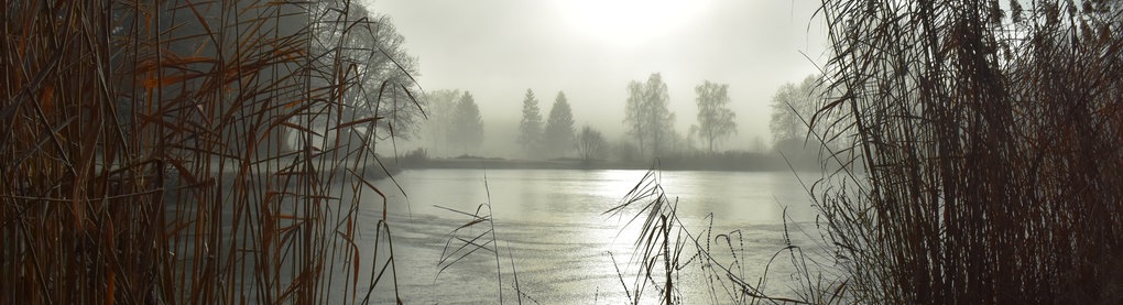 Die Sonne scheint durch Nebel 