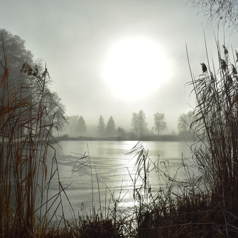 Die Sonne scheint durch Nebel 