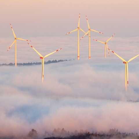 Blick auf Windräder, die aus "rosa" Nebel herausragen.