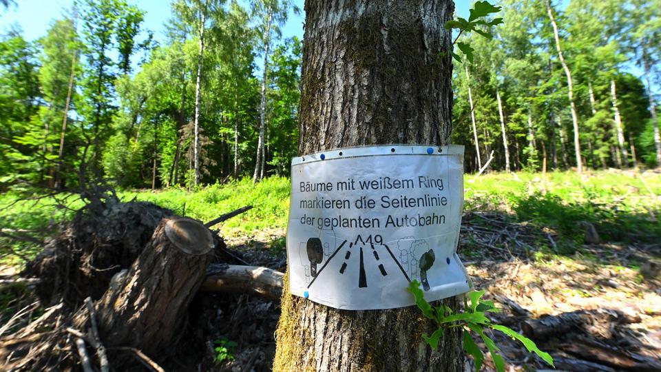 Schwalmstadt: Ein kopiertes Blatt weist im Dannenröder Forst auf weiß markierte Bäume hin, die den Trassenverlauf darstellen sollen. 