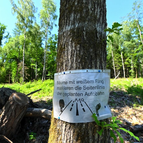 Schwalmstadt: Ein kopiertes Blatt weist im Dannenröder Forst auf weiß markierte Bäume hin, die den Trassenverlauf darstellen sollen. 