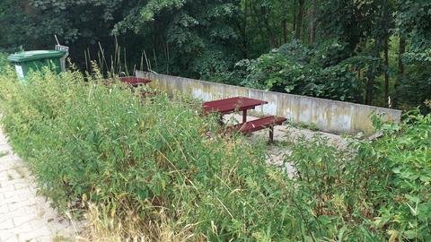 Pflanzen überwuchern Bänke und Tische auf dem Rastplatz "Am Brühlgraben" an der A5 bei Weiterstadt