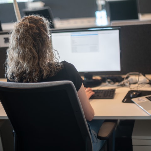 Eine Frau sitz an einem Schreibtisch vor dem PC und arbeitet.