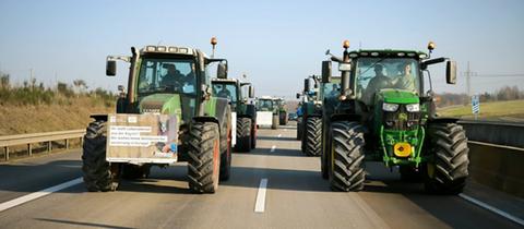 Traktoren bei einer Protestfahrt.