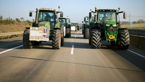 Traktoren bei einer Protestfahrt.