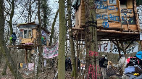 Baumhäuser im Fechenheimer Wald