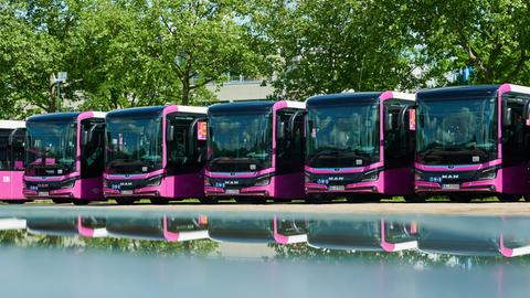 Pinke Busse in Depot 