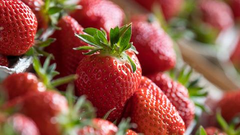 Erdbeeren in Großaufnahme