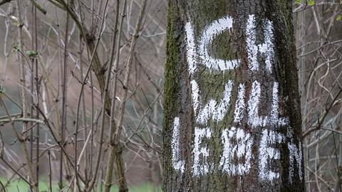 Markierter Baum im Fechenheimer Wald. 