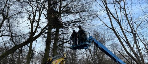 Polizei im Fechenheimer Wald