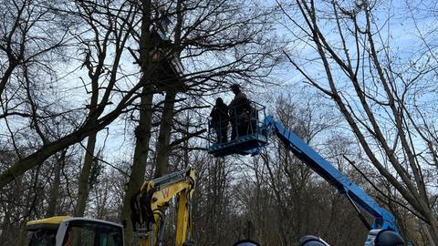 Polizei im Fechenheimer Wald