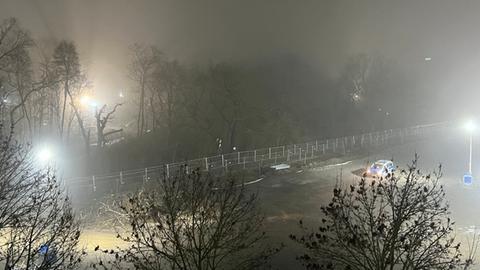 Fechenheimer Wald im Morgennebel