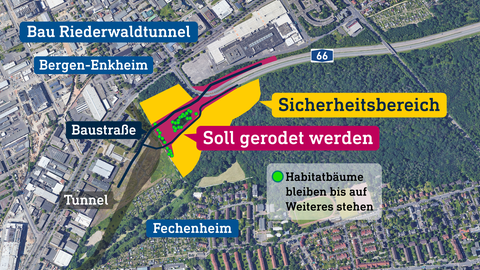 Grafik zur Rodung des Fechenheimer Waldes