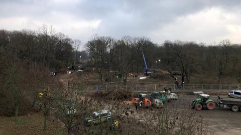 Rodungsarbeiten im Fechenheimer Wald