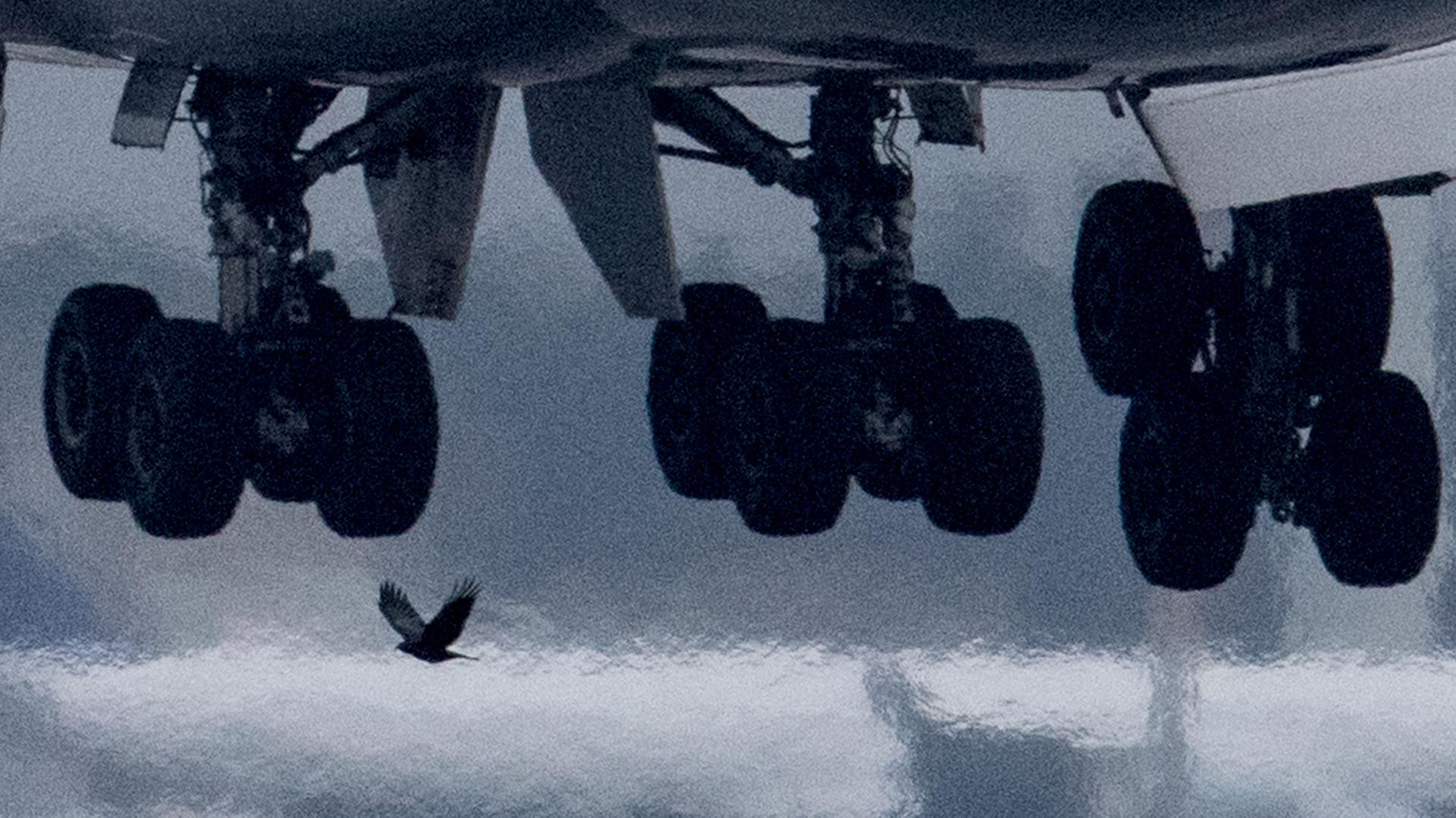 Ausreise-aus-Israel-Sonderflug-aus-Jordanien-f-r-Deutsche-in-Frankfurt-gelandet