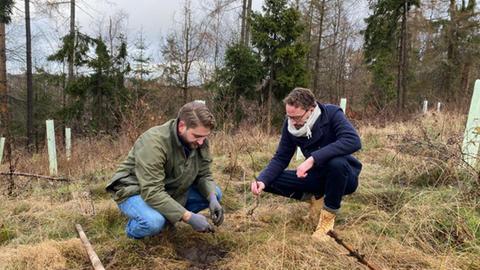 Forstwissenschaftler Jan Borchert und Friseurmeister Carlos Weiss in ihrem sogenannten Friseurwald bei Schlangenbad