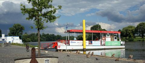 Die Mainfähre in Frankfurt-Höchst