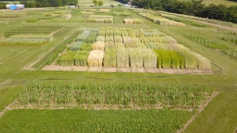 Feld mit verschiedenen kleinen Parzellen