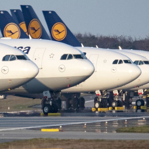 Eine Reihe geparkter Lufthansa-Maschinen neben dem Rollfeld.