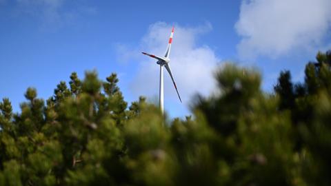 Auf der Hornisgrinde steht zwischen Bäumen ein Windrad. (dpa)