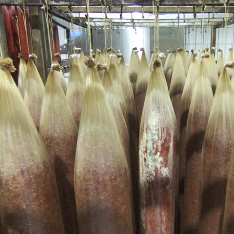 Schimmelige Wurst in der Wilke Fabrik 