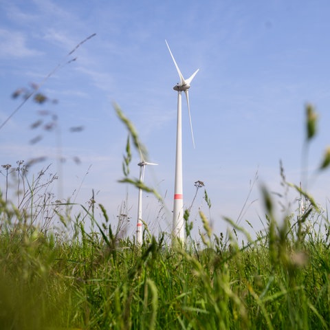 Zwei Windräder drehen sich auf einem Feld.